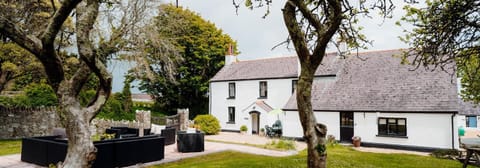 Property building, Garden, Garden view