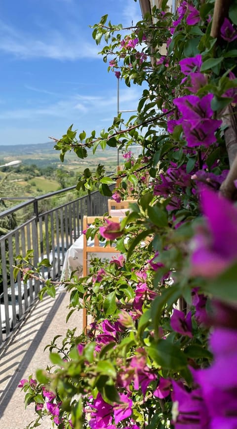 Balcony/Terrace, Balcony/Terrace