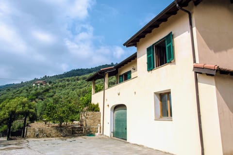 Property building, Day, Summer