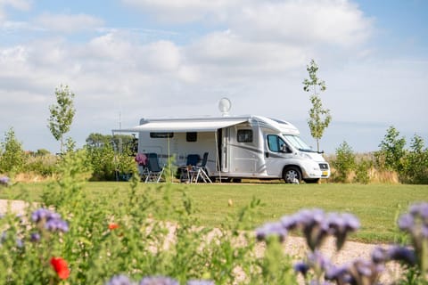 de Schelphoeve Chalet in Zeeland, Netherlands