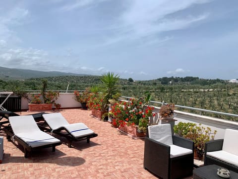 Spring, Day, Natural landscape, Balcony/Terrace