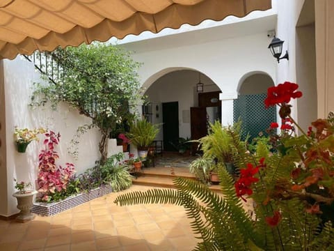 Patio, Garden view