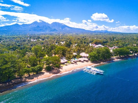 Pura Vida Beach & Dive Resort Resort in Central Visayas