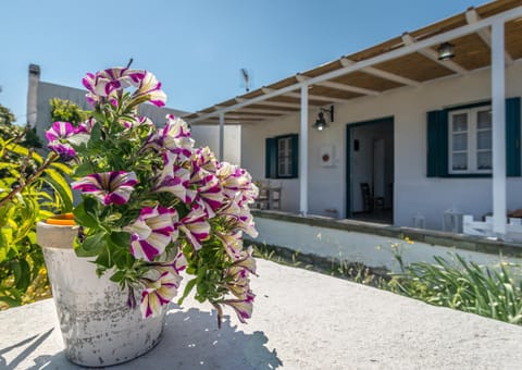 Mandrakia Bliss House House in Milos