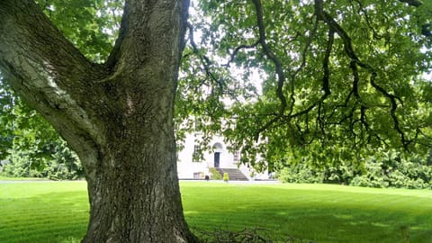 Augherea House Bed and Breakfast in Longford