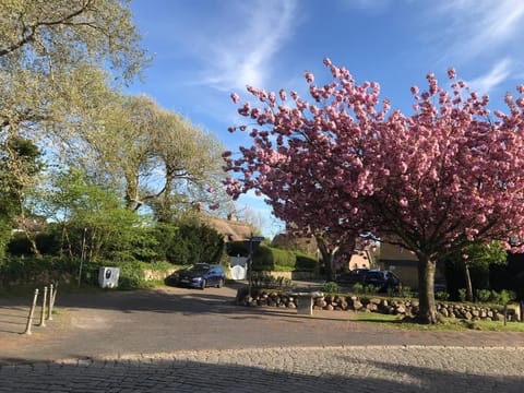 Neighbourhood