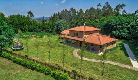 Bird's eye view, Garden view