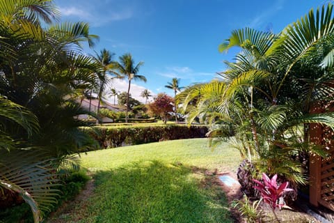 Maui Kamaole Hôtel in Wailea