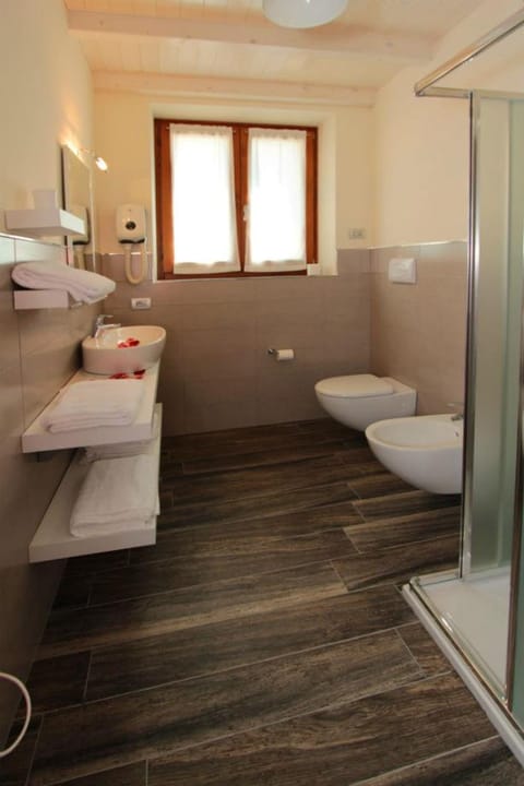 Shower, Toilet, Bathroom, bidet