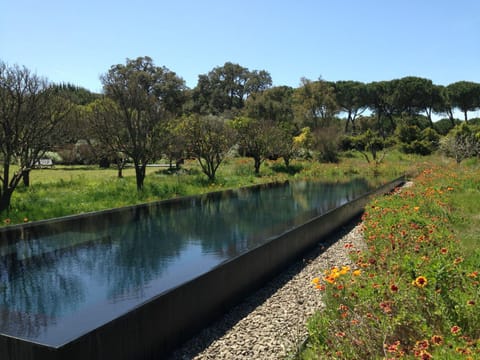 Natural landscape, Garden, Garden view, Swimming pool