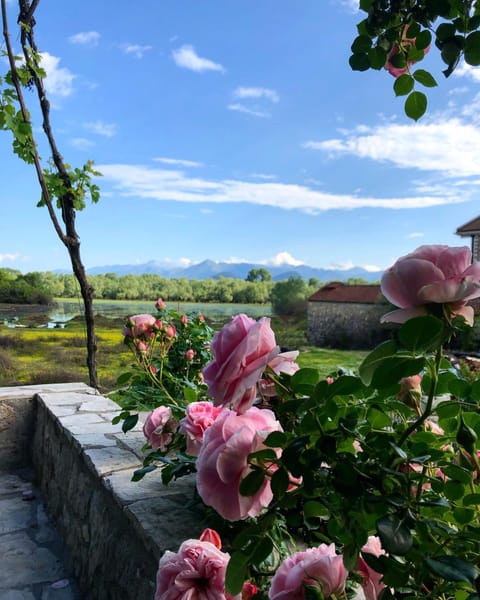 Garden, Garden view