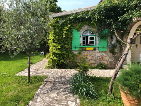 Property building, Garden, Garden view