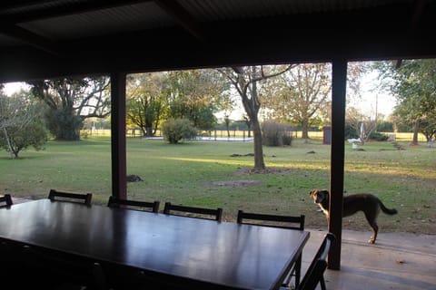 BBQ facilities, Garden, Garden view, Pool view