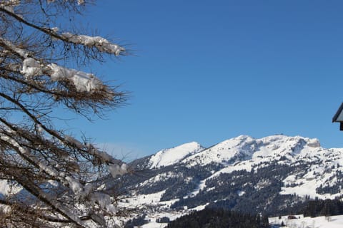 Les Frênes Condo in Haute-Savoie