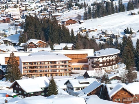 Property building, Natural landscape, Bird's eye view, Winter