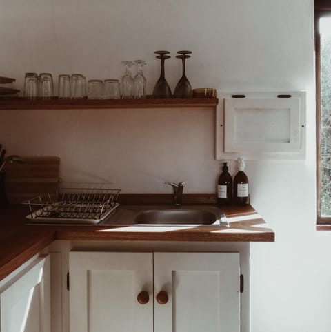 Kitchen or kitchenette, kitchen