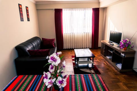 Brussels apartment Condo in La Paz