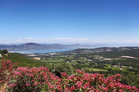 Natural landscape, City view, Mountain view, Sea view