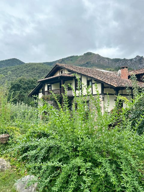 Posada San Pelayo Chambre d’hôte in Cantabria