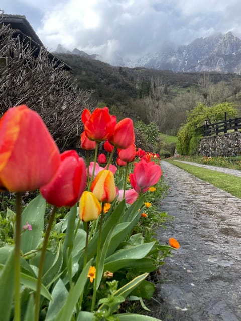 Posada San Pelayo Bed and Breakfast in Cantabria