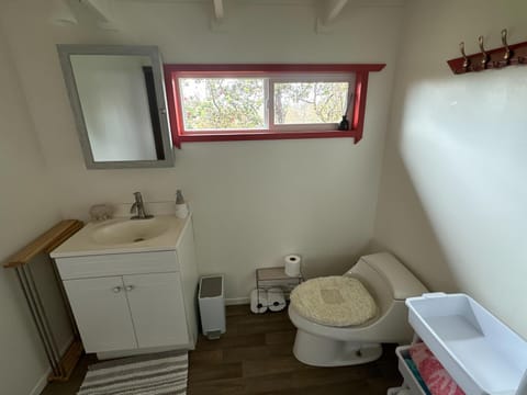 Toilet, Bathroom, towels