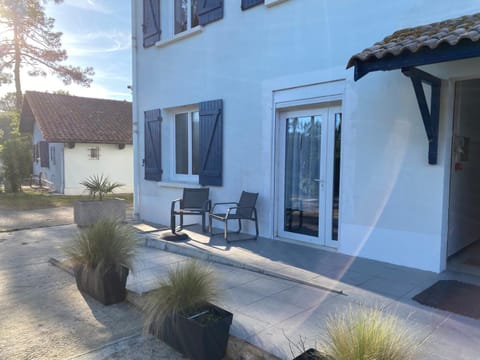 Patio, Garden view