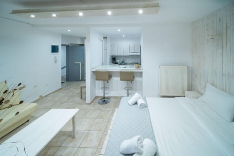 Bed, Kitchen or kitchenette, Living room, Photo of the whole room, Seating area, Bedroom