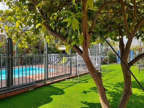 Spring, Garden, Swimming pool