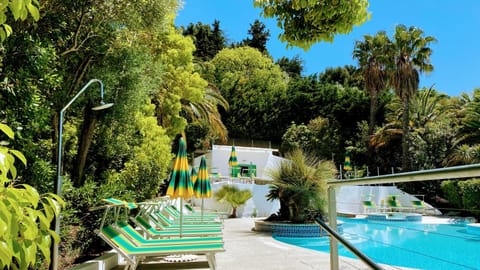 Natural landscape, Garden, Swimming pool, sunbed