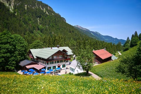 Property building, Summer