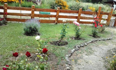 Patio, Garden, Balcony/Terrace