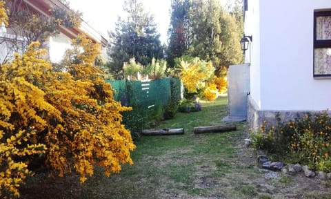 Garden, Inner courtyard view