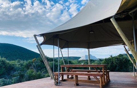 ParkView Safari Lodge Natur-Lodge in Port Elizabeth