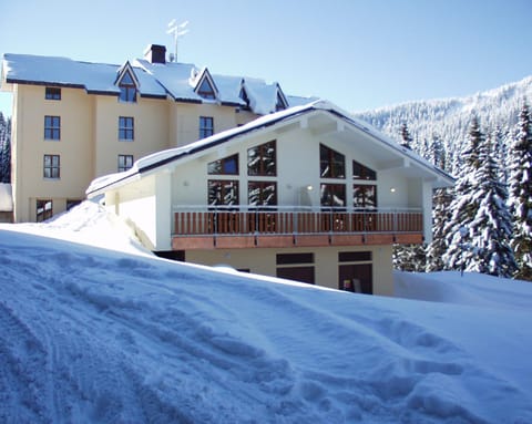 Restaurant/places to eat, Day, Winter, Ski School, Skiing, On site, Swimming pool, young children, older children, group of guests, Family, Family