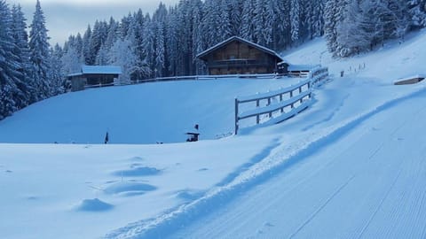Ado's Haus House in Salzburgerland