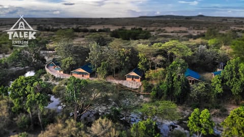 Talek Bush Camp , Masai Mara Camping /
Complejo de autocaravanas in Kenya