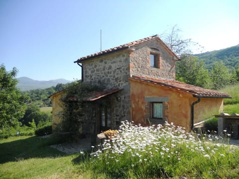 Facade/entrance, Garden
