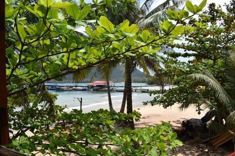 Natural landscape, Sea view