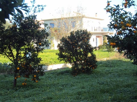 Villa Nostos Condo in Messenia