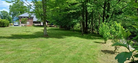 Property building, Spring, Day, Natural landscape, Garden, Garden view