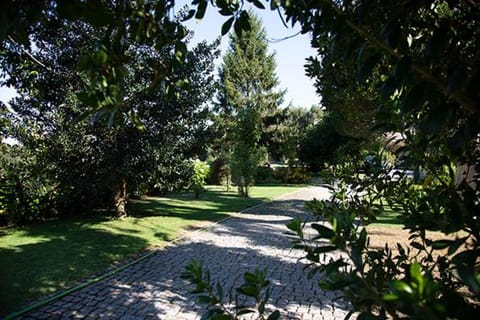 Garden, Living room