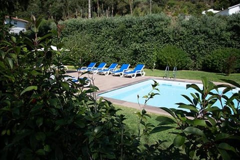 Garden view, Swimming pool, Swimming pool, sunbed