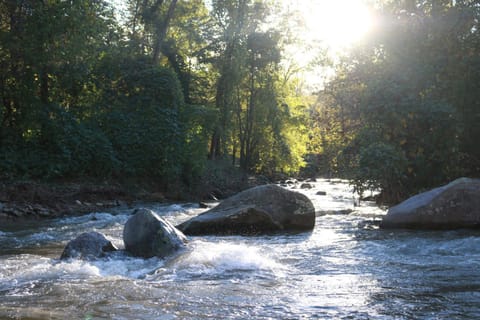 Natural landscape, River view