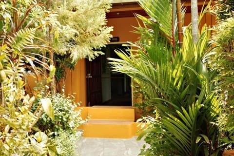 Day, Garden, Garden view