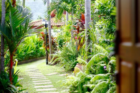 Day, Garden, Garden view