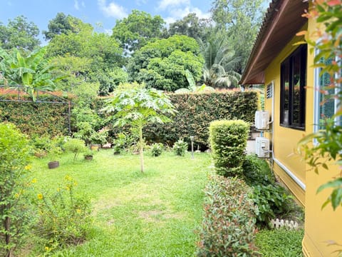 Day, Natural landscape, Garden, Garden view