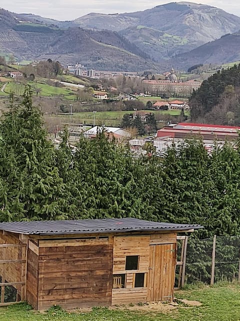 ABARAXKA HOSTEL Disfruta la Vía Verde del Urola hasta la Playa - Naturaleza Montañas y Riqueza Cultural Hostel in Basque Country