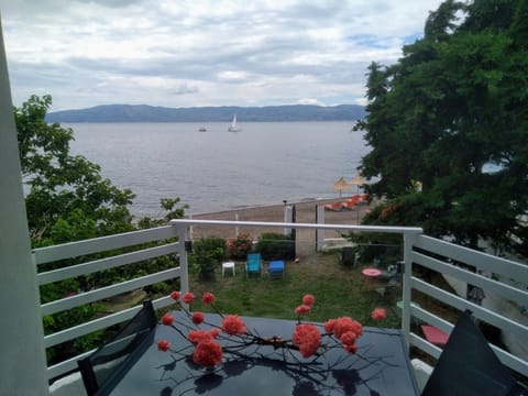 Flora's Beach House Your House On The Beach Apartment in Euboea