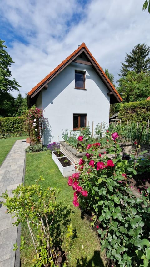 Domek Kruklanki House in Lithuania