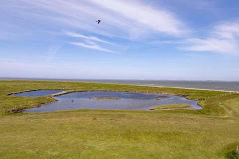 Lake view, Sea view, Sea view